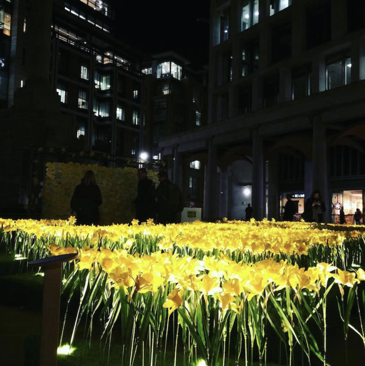Garden of Light