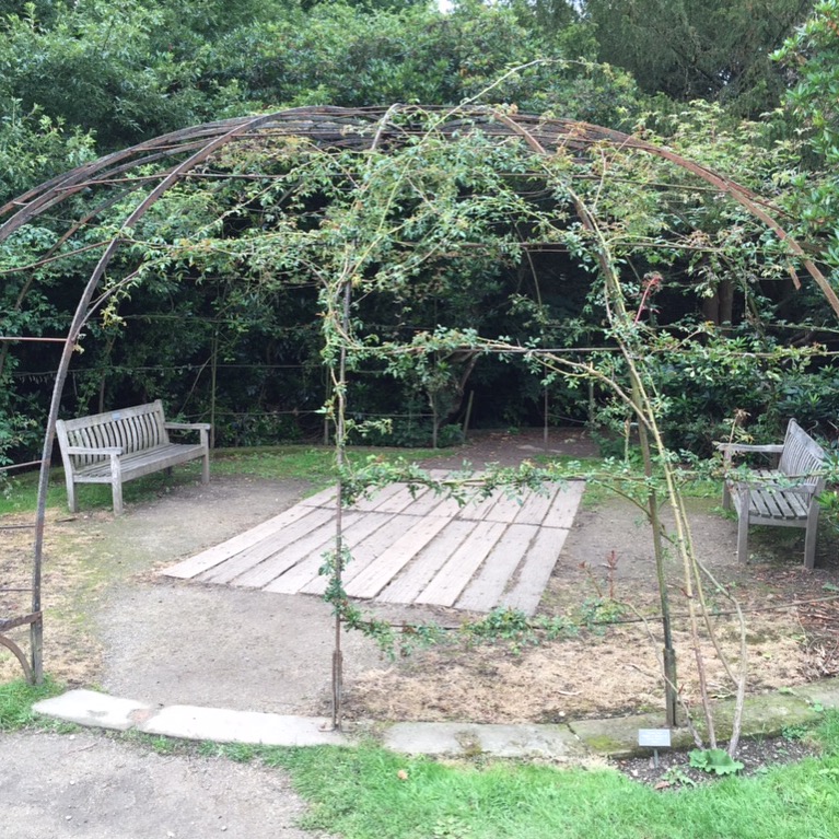 Playground in 2015