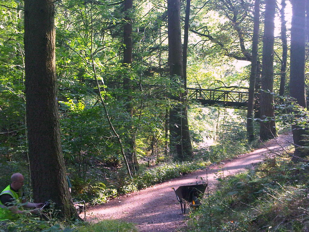 Working on the Trail