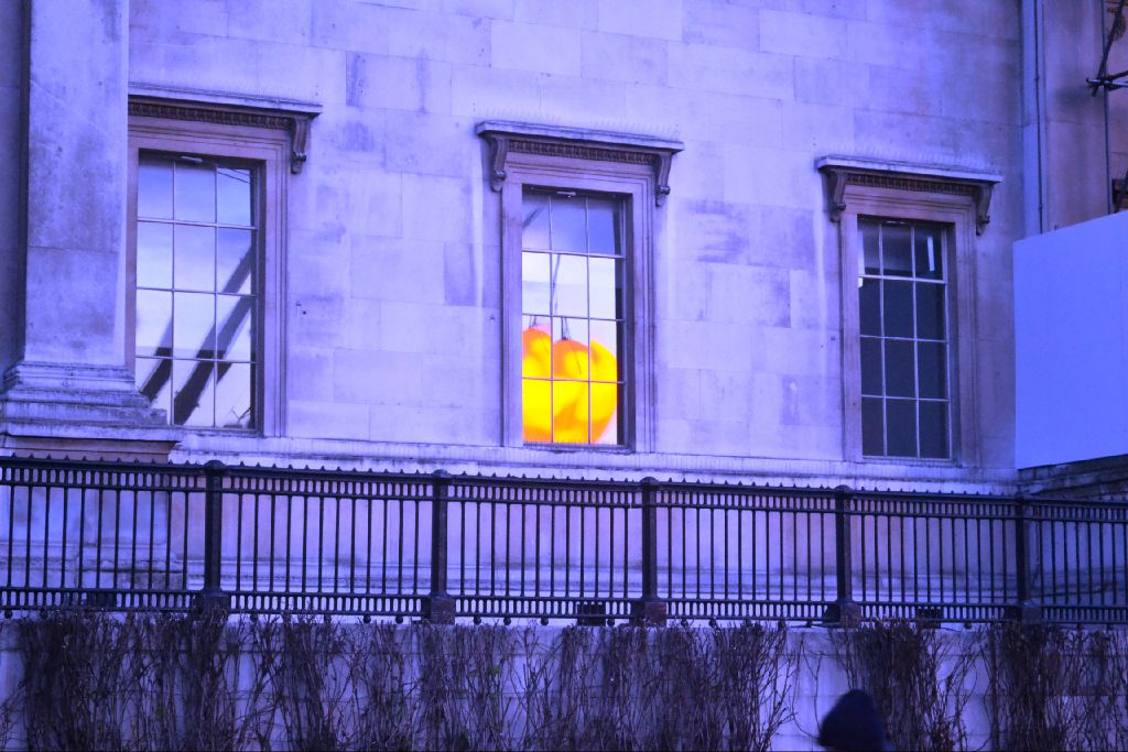Reflection